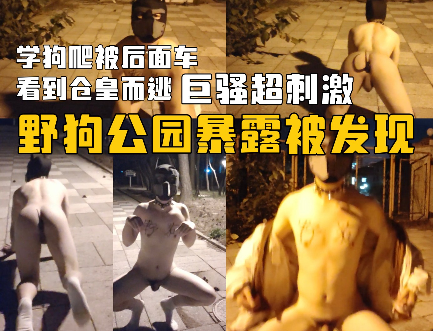 超騷野狗公園野裸學狗爬被發現，被車看到後趕緊逃跑