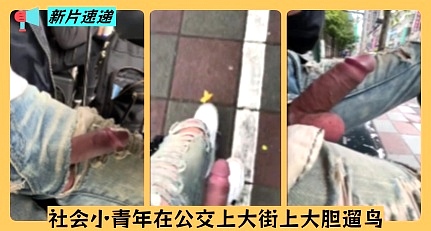社會小青年在公交上大街上大膽遛鳥