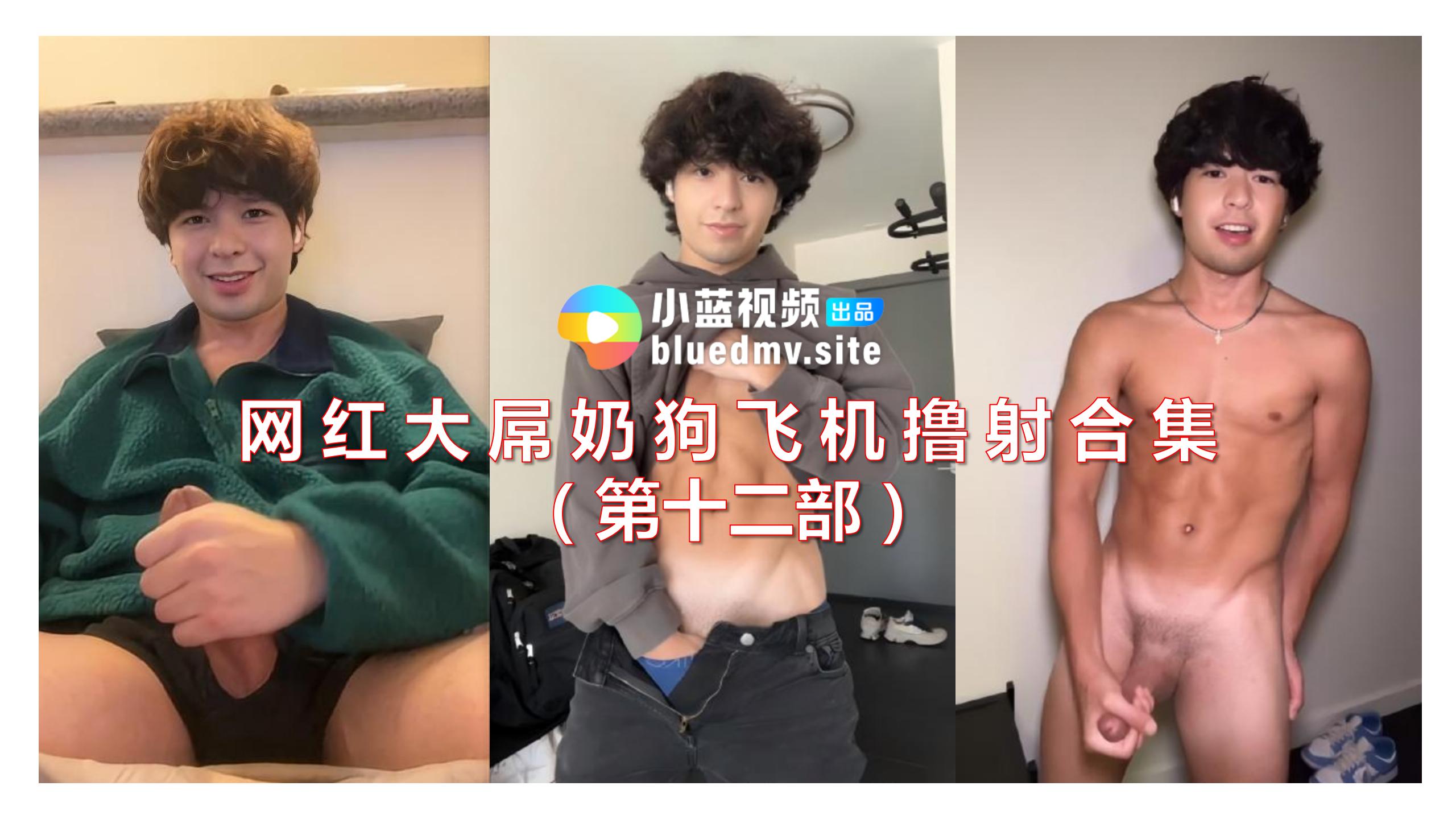 網紅大屌奶狗飛機擼射合集（第十二部）